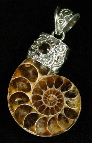 Sterling Silver Ammonite Pendant #5595